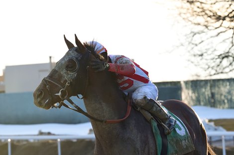Risk Taking wins the 2021 Withers Stakes at Aqueduct                                    