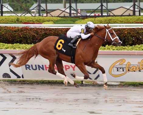 Promise Keeper - Maiden Win, Gulfstream Park, February 6, 2021