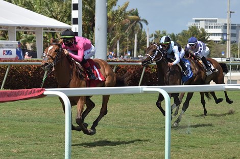 Con Lima (#3) finishes 2nd in the Herecomesthebride Stakes, but was awarded the victory after the disqualification of Spanish Loveaffair (#1), who was placed 4th.                     