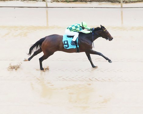 Kimari wins 2021 Spring Fever Stakes at Oaklawn Park