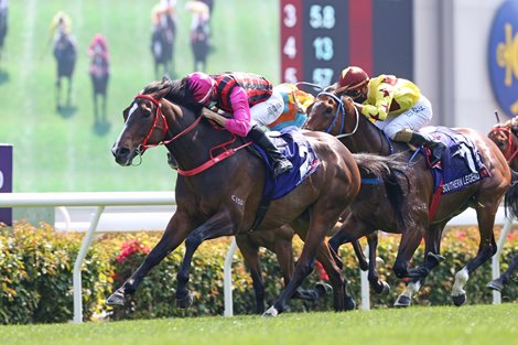 Waikuku wins the G1 Queens’ Silver Jubilee Cup