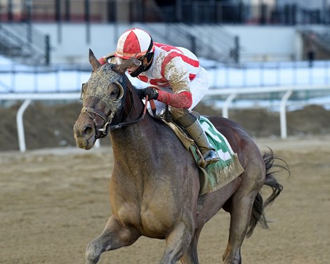 Risk Taking wins the 2021 Withers Stakes at Aqueduct                                   