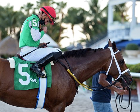 Mischevious Alex wins the Gulfstream Park Sprint Stakes February 13, 2021 at Gulfstream Park