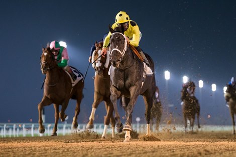 Canvassed (IRE) (Doug Watson – Patrick Dobbs) wins the 1200m, Handicap, Mina Rashid race at the third Dubai World Cup Carnival on February 4, 2021