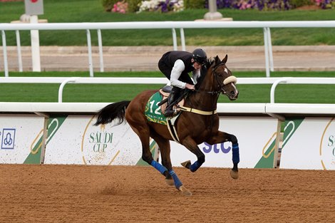 Simsir, Saudi Cup, Trackwork, King Abdulaziz Race Track, Jockey Club of Saudi Arabia, February 18, 2021