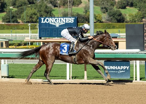 Moonlight d'Oro carries jockey Flavien Prat to victory in the G2 $200,000 Las Virgenes Stakes Saturday, February 6, 2021 at Santa Anita Park, Arcadia, CA.
