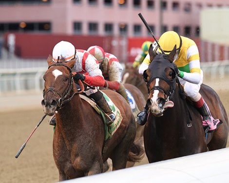 Weyburn wins the 2021 Gotham Stakes at Aqueduct