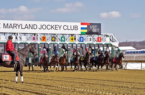 Laurel Park Starting Gate