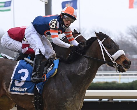 My Boy Tate wins the 2021 Haynesfield Stakes at Aqueduct Racetrack
