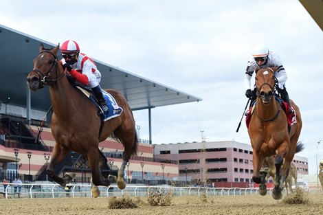 Search Results wins the 2021 Busher Invitational Stakes at Aqueduct