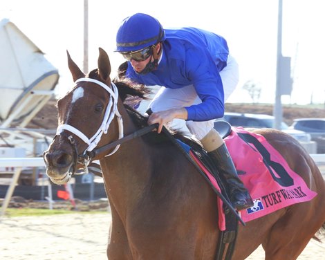 Adventuring wins the 2021 Bourbonette Oaks at Turfway Park