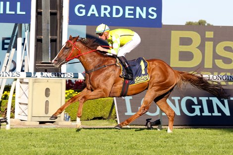 Eduardo wins the 2021 Galaxy Handicap at Rosehill Racecourse<br><br />
ridden by Nash Rawiller and Trained by Joseph Pride