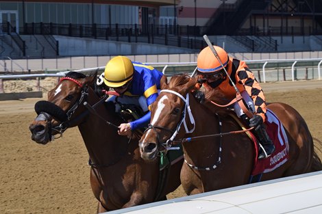 Just Read It wins the 2021 Cicada Stakes at Aqueduct