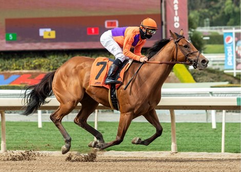 Missy P. - Maiden Win, Santa Anita Park, March 12, 2021<br><br />
Full sister to G1 Mia Mischief