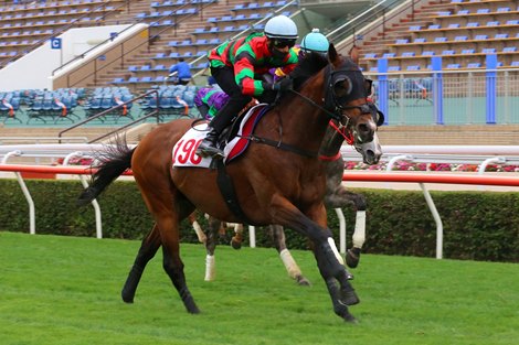 Russian Emperor works home under Karis Teetan