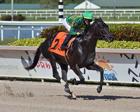 Bears Watching wins a maiden special weight Saturday, March 13, 2021 at Gulfstream Park