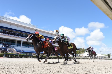 Basin wins the Sir Shackleton Stakes Saturday, March 27, 2021 at Gulfstream Park