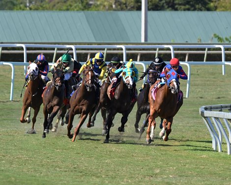 Churn N Burn wins the 2021 Pan American Stakes at Gulfstream Park