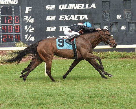 Summering wins the Pleasant Acres Stallions Distaff Turf Stakes Sunday, March 28, 2021 at Tampa Bay Downs