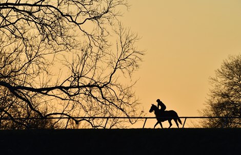 March 27, 2021: Sunrise...<br>
Keeneland Training Center on Rice Rd...<br>
© Rick Samuels/Keeneland Magazine