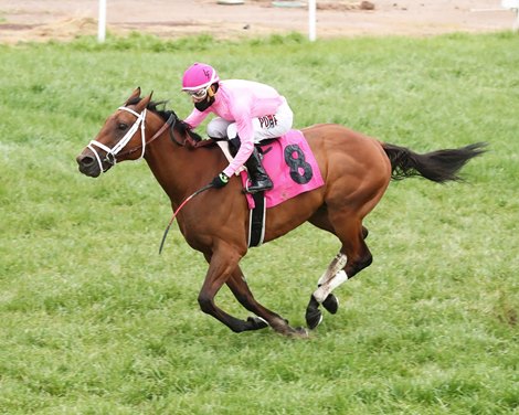 Ohio wins the 2021 Cotton Fitzsimmons Mile at Turf Paradise