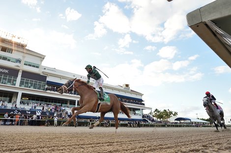 Known Agenda wins 2021 Florida Derby at Gulfstream Park