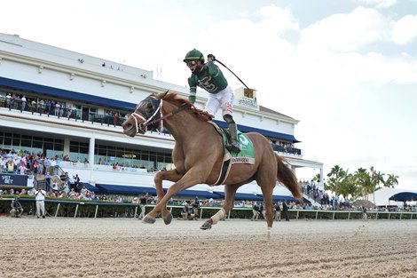 Known Agenda wins 2021 Florida Derby at Gulfstream Park