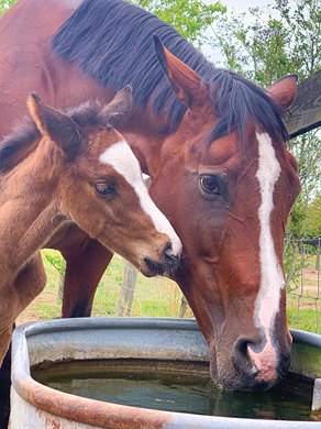 Baby Mic and Faith