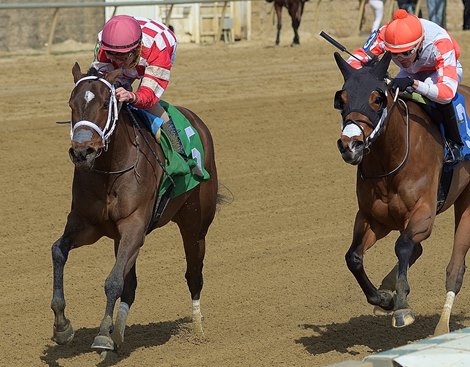 Littlestitious wins the 2021 Beyond The Wire Stakes at Laurel Park            