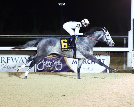 Editor in Chief wins a maiden special weight Wednesday, March 17, 2021 at Turfway Park