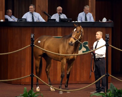 Hip 10, 2021 OBS March Sale