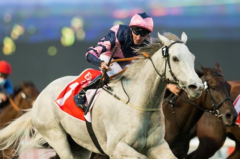 Lord Glitters (David O’Meara – Daniel Tudhope) wins the Jebel Hatta Sponsored By Emirates Airline, Group 1, 1800m race at the Super Saturday, seventh Dubai World Cup Carnival on March 06, 2021