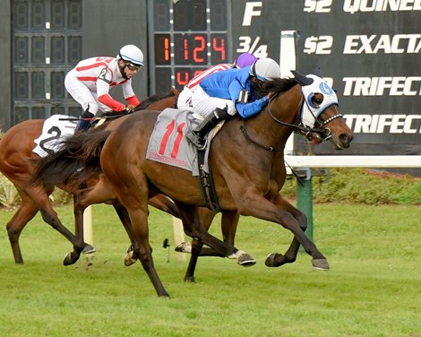 Micheline wins the Hillsborough Stakes Saturday, March 6, 2021 at Tampa Bay Downs
