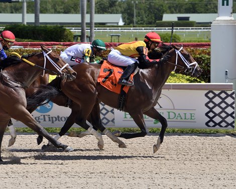 Basin wins the 2021 Sir Shackleton Stakes at Gulfstream Park