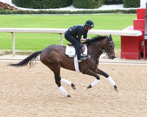 Envoutante -  Gallop - Oaklawn Park – 031121