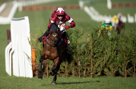 Tiger Roll (Keith Donoghue) jumps the final obstacle and wins the Cross Country<br><br />
Cheltenham 17.3.21