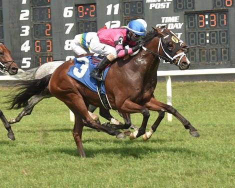 Me and Mr. C wins the Grey Goose Turf Classic Stakes Sunday, March 28, 2021 at Tampa Bay Downs