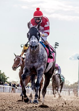 Travel Column wins 2021 Fair Grounds Oaks at Fair Grounds