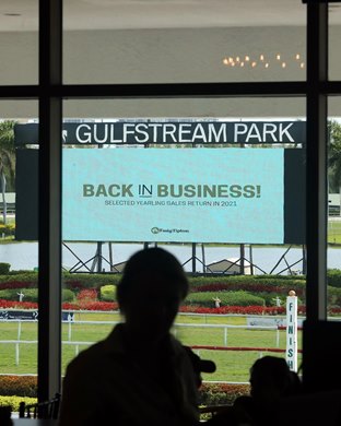 Scenics,  2021 Fasig-Tipton Gulfstream Sale for selected 2-Year-Olds