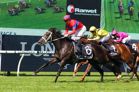 Verry Elleegant wins the 2021 Ranvet Stakes at Rosehill Racecourse<br><br />
ridden by James McDonald and Trained by Chris Waller