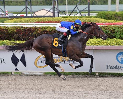 Prevalence - AOC Win, Gulfstream Park - March 11, 2021