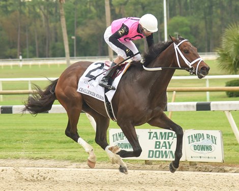 Last Judgment wins the Challenger Stakes Saturday, March 6, 2021 at Tampa Bay Downs