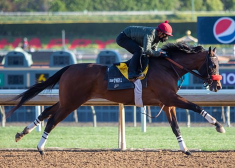 The Great One works at Santa Anita Park on March 27, 2021