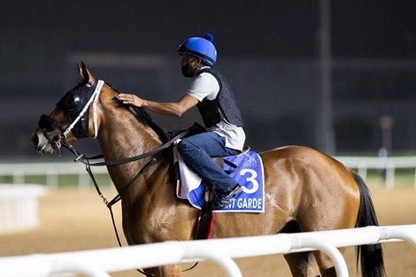 Avant Garde - Meydan - March 25, 2021
