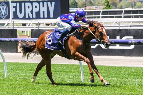 Profiteer ridden by Michael Dee wins the #LovetheHorse at Flemington Racecourse on December 12, 2020 in Flemington, Australia.