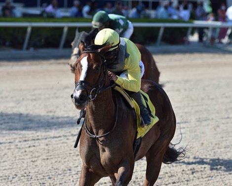 Pacific Gale wins the 2021 Hurricane Bertie Stakes at Gulfstream Park