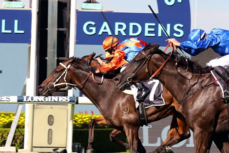 Think It Over wins the 2021 George Ryder Stakes<br><br />
ridden by Glen Boss and Trained by Kerry Parker