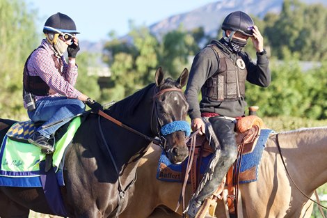 Medina Spirit - Morning - Santa Anita Park - 032821