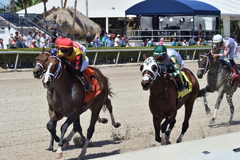 Basin wins the 2021 Sir Shackleton Stakes at Gulfstream Park                         