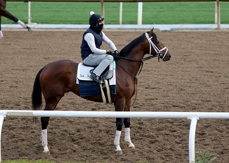 Rombauer at Santa Anita Park on March 14th, 2021 for trainer Michael McCarthy